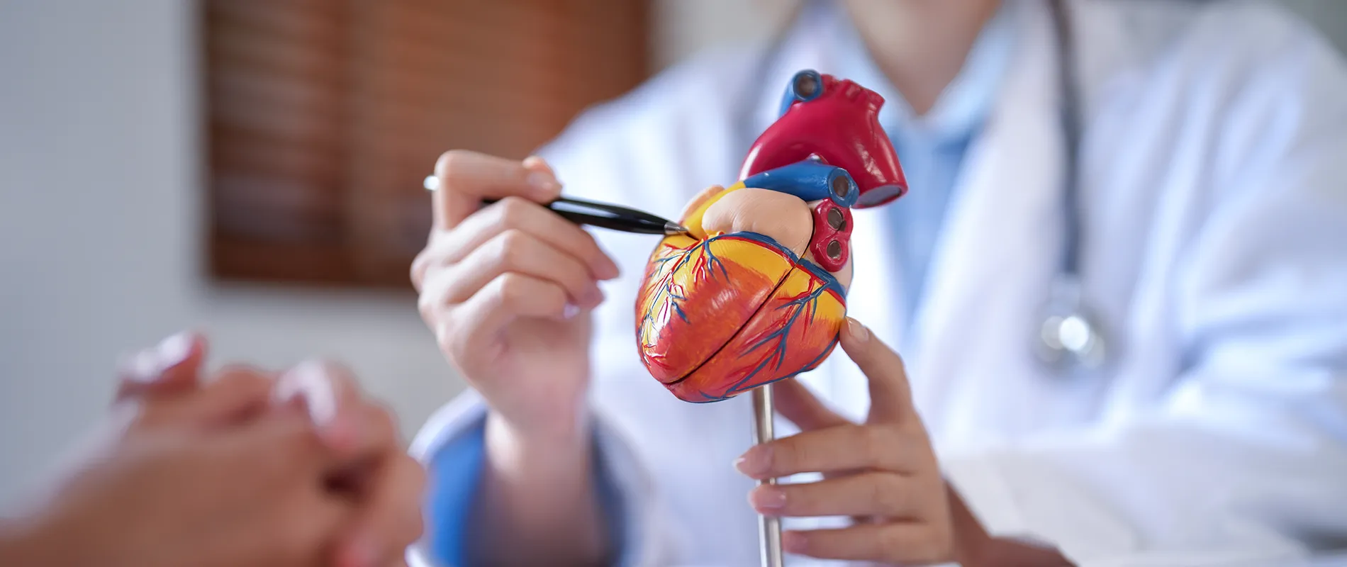 Cardiología